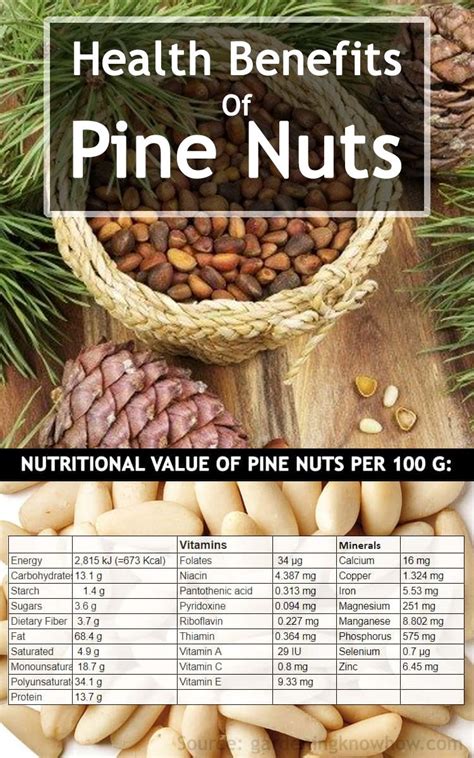 Pine Nuts Top Health Benefits And Side Effects You Should Know Pine