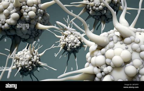 Celulas Dendríticas Fotografías E Imágenes De Alta Resolución Alamy