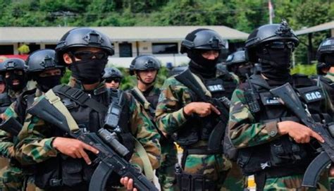 Presidente de la asamblea nacional de venezuela: Qué es la Guardia Nacional, el polémico cuerpo militar de ...