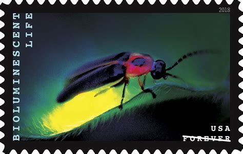 These Beautiful New Stamps Capture Magic Of Bioluminescent Species With