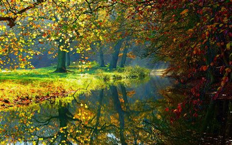 Wallpaper Autumn River Trees Nature Scenery Sunlight 2560x1600 Hd