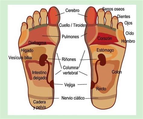 Cuesta Pensar Que Algún Punto En Particular En La Planta De Los Pies