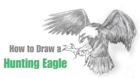 Think And Draw A Hunting Eagle Created By Debottam Nandy Rimon Youtube