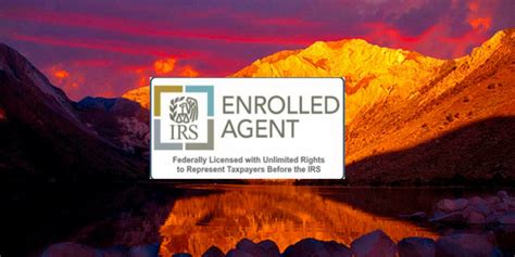 Click here for instructions on downloading. Enrolled Agent Tax Consultant - Brammer & Associates