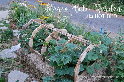 Straw Bale Garden Flower Patch Farmhouse
