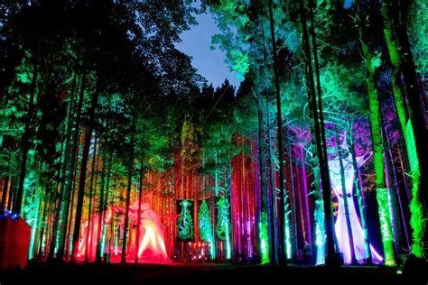 Image Result For Electric Forest Electric Forest Festival Forest