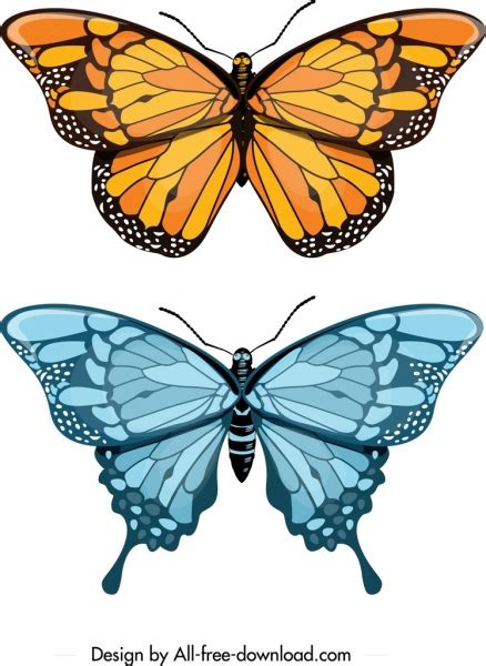 Butterfly Icons Yellow Blue Decor Modern Design Vectors Graphic Art