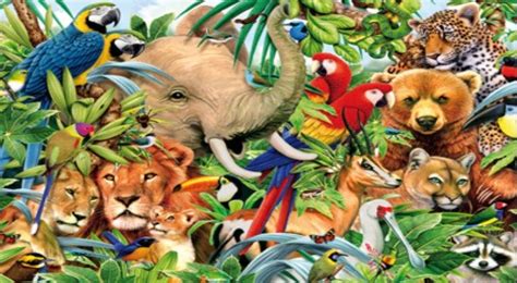 fauna temas ambientales ecológicos y sustentables