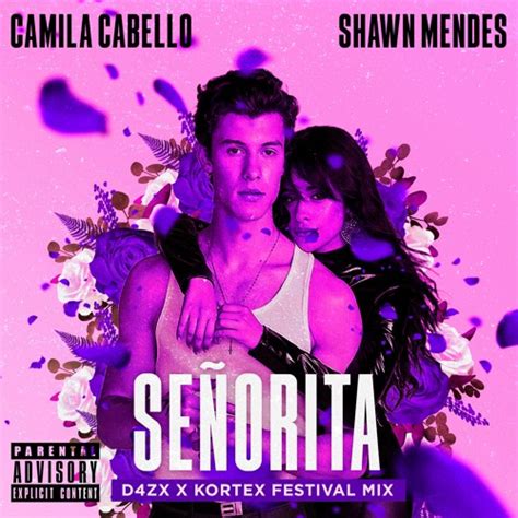 Shawn Mendes And Camila Cabello Tracks Remixes Overview