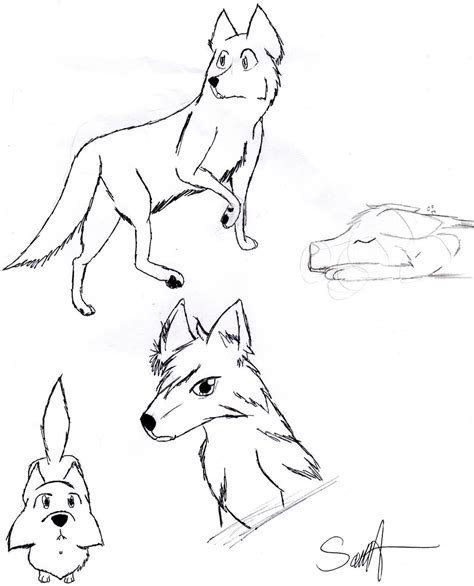 Wolf Sketches By Angrywalnut On Deviantart