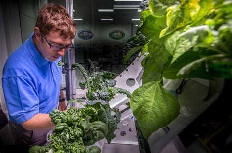 Will Astronauts Be Able To Grow Plants In Space Great Lakes Ledger