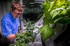 Will Astronauts Be Able to Grow Plants in Space? - Great Lakes Ledger