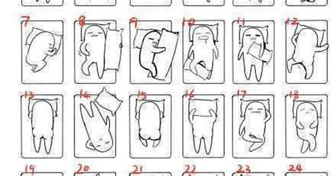 Whats Your Sleeping Position Imgur