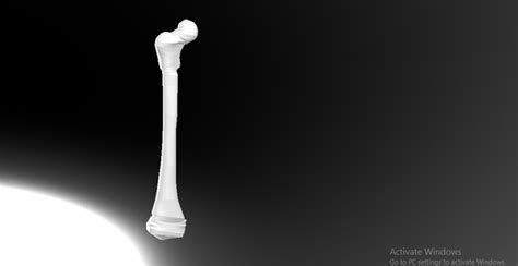 Femur Bonethigh Bone Download Free 3d Model By Homagni Cad Crowd
