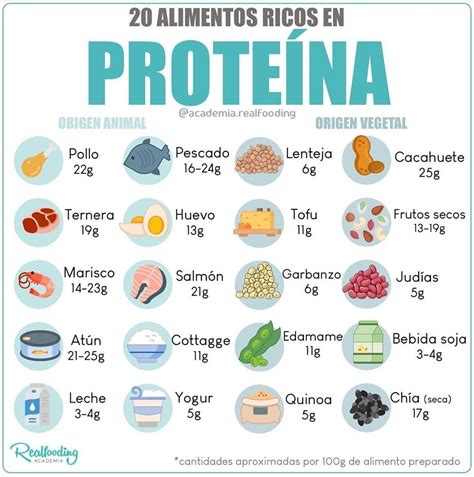 Tipos Y Ejemplos De Proteinas Abc Fichas Images