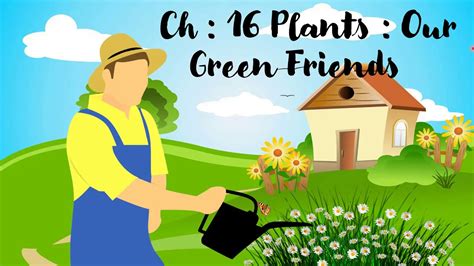 Class 3 Evs Ch 16 Plants Our Green Friends Part 1 Youtube