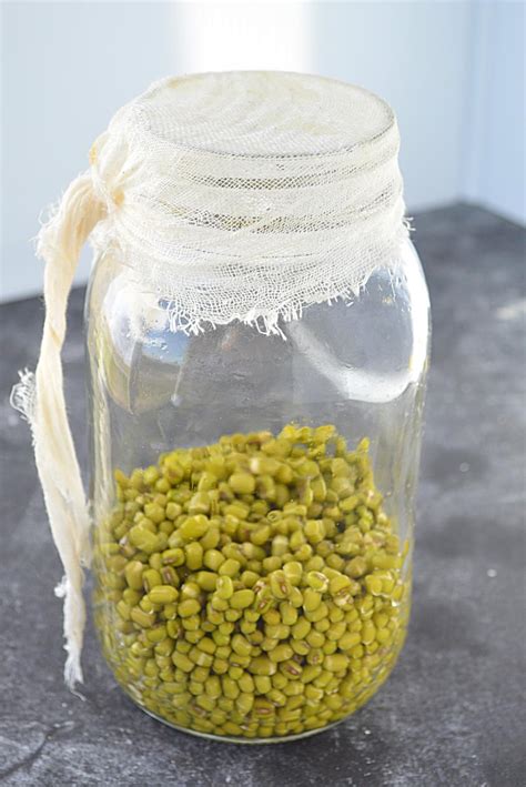 How To Make Sprouts In A Jar Make Sprouts In Canning Jarsprouting Seeds