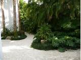 Landscaping Miami Pictures