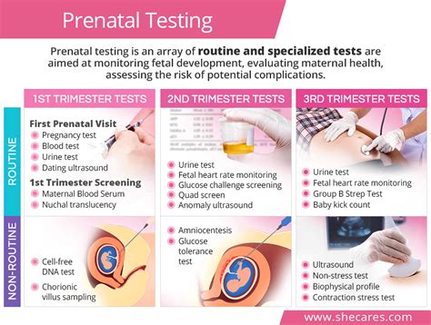 Blood Test During Pregnancy Second Trimester Check Ups Tests And