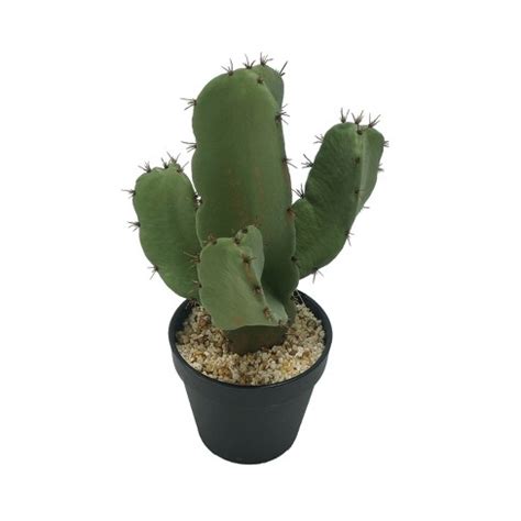 Of course, any potted cactus can be grown outdoors through the summer and taken indoors for the winter. Potted Faux Ball Cactus Plant - AB Home Inc. : Target
