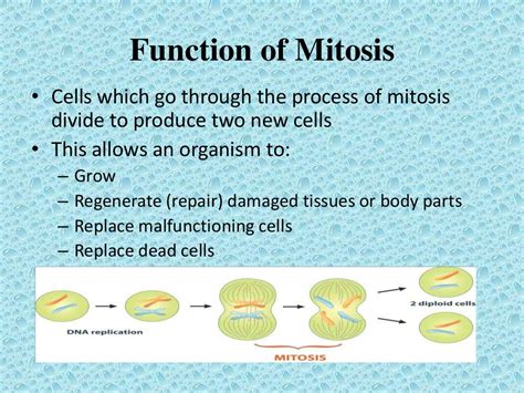 Cellular Reproduction Ppt