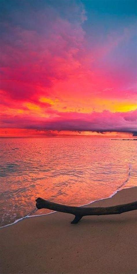 Pic Of The Daybright 🌤️️️🌊 Beach Sunrise Sunrises