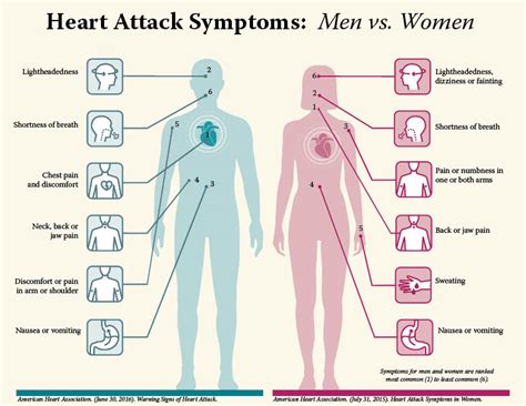 What is a heart attack? Can Back Pain Cause Chest Pain