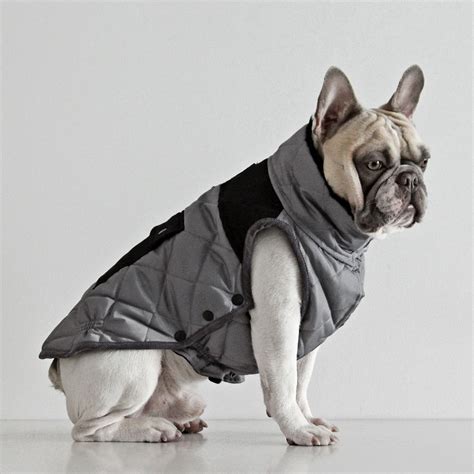 The french bulldog has a short, fine, smooth coat that is easy to groom. Monaco Coat for French Bulldogs - Grey - Dogissimo