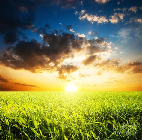 sunset and field of grass photograph by boon mee fine art america