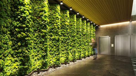 Biophilic Hotel Design Quiet Earth Moss