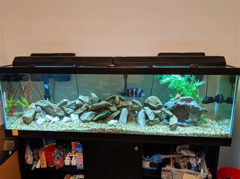 125 Gallon Aquarium On 2nd Floor Rin Aquarium Fish