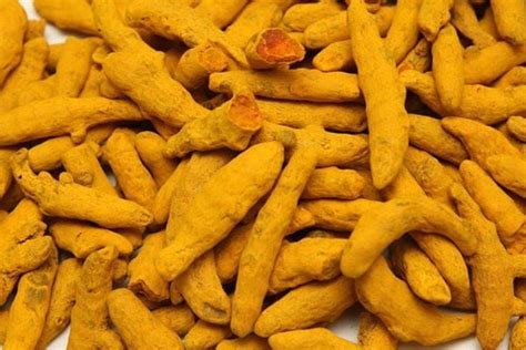 Erode Raw Turmeric Finger For Cooking Packaging Size 100kg At Rs 80