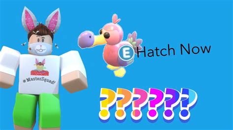 How To Hatch The New Dodo Pet In Adopt Me Roblox Youtube