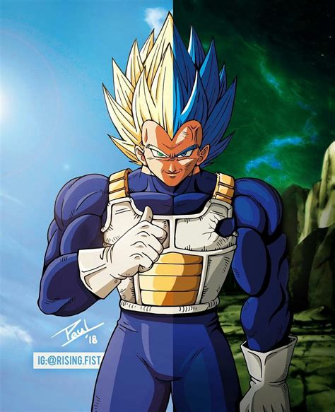 Defeat super saiyan god ss vegeta in phase 6: Vegeta | Dragon ball super manga, Dragon ball z, Anime