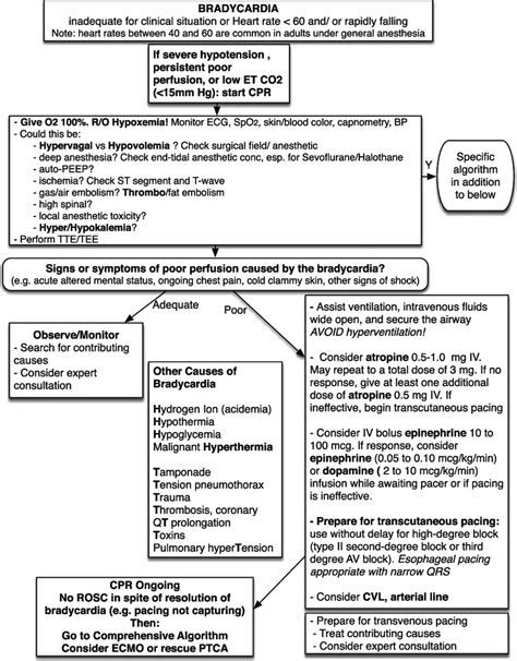 Bradycardia Adaptation Of Acls Algorithm For Bradycardia Acls