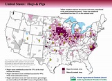 United States Hogs and Pigs Facts and Figures