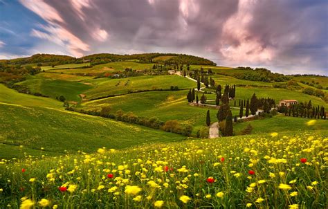 Wallpaper Summer The Sky Clouds Trees Flowers Mountains Hills