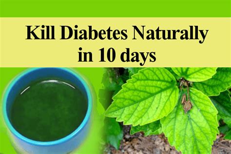 Diabetic Guidelines Blood Sugar How To Cure Diabetes Naturally In 10 Days