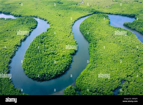 Aerial View Of Amazon Rainforest In Brazil South America Green Forest