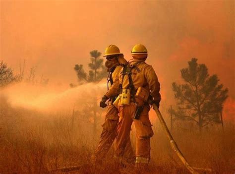 Firefighters In Action Wildland Firefighter Firefighter Wildland Fire