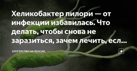 Диета от хилари бактер Хеликобактер пилори — от инфекции избавилась. Что делать, чтобы снова Хеликобактер пилори — от инфекции избавилась. Что делать, чтобы снова Диета от хилари бактер