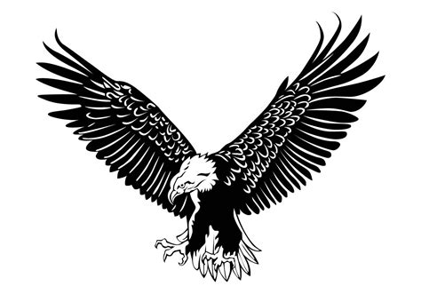 Flying Eagle Silhouette Vector Graphics Silhouette Clip Art Eagle