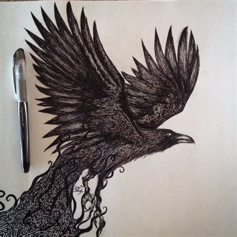 Flying Raven Drawing At Getdrawings Free Download