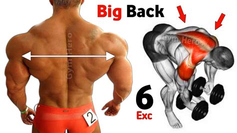 6 Best Back Exercises Back Workout At Gym Youtube