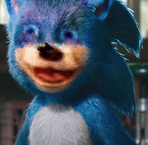 I Was Trying To Put The Jerry Meme Face On Sonic It Didnt Workout