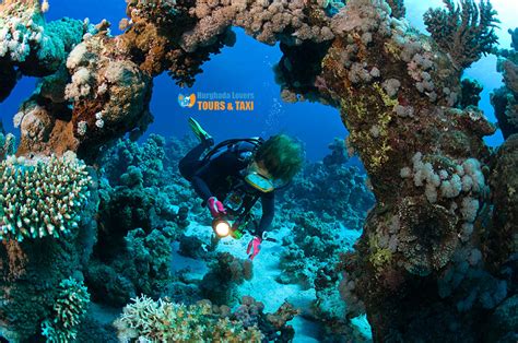 Best Diving Red Sea Booking Luxury Liveaboard Egypt 2020