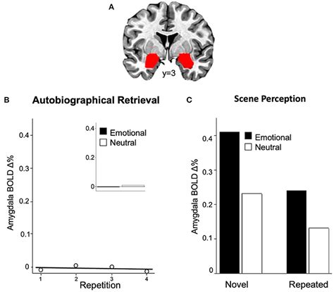 Frontiers Emotional Memory And Amygdala Activation
