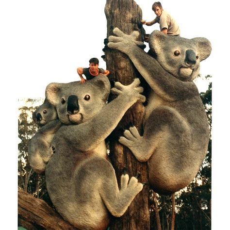 Prehistoric Koala