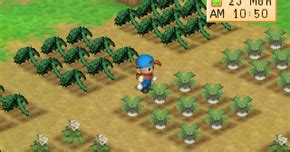 Harvest Moon Back To Nature Guide Musim Semi Tahun Pertama