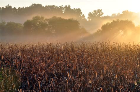 All current health restrictions are in place. The Fork Farm and Stables | Catawba Lands Conservancy